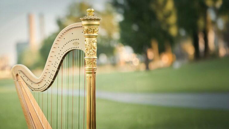 Harping with Heart – Kurs 3 (ab 3. Jahr)